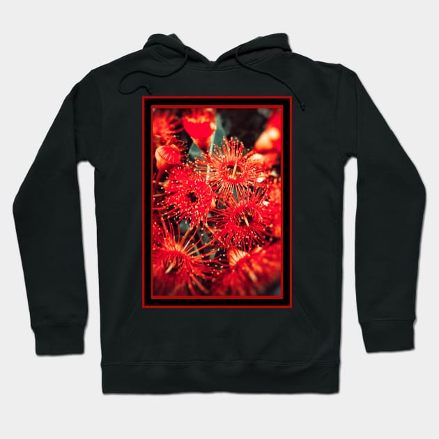 Beautiful Red Spikey Flowers Hoodie by Blue Butterfly Designs 